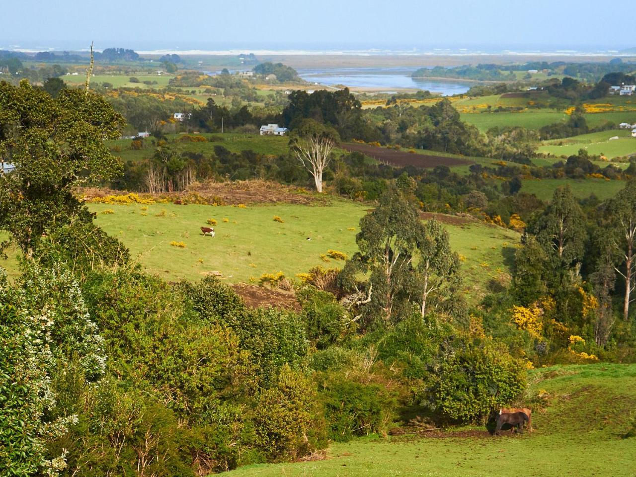 Cabana Azul Y Verde Ancud